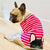 Camisa Frenchie | Frenchiestore | Bulldog francés negro en chicle, perro Frenchie, productos para mascotas Bulldog francés