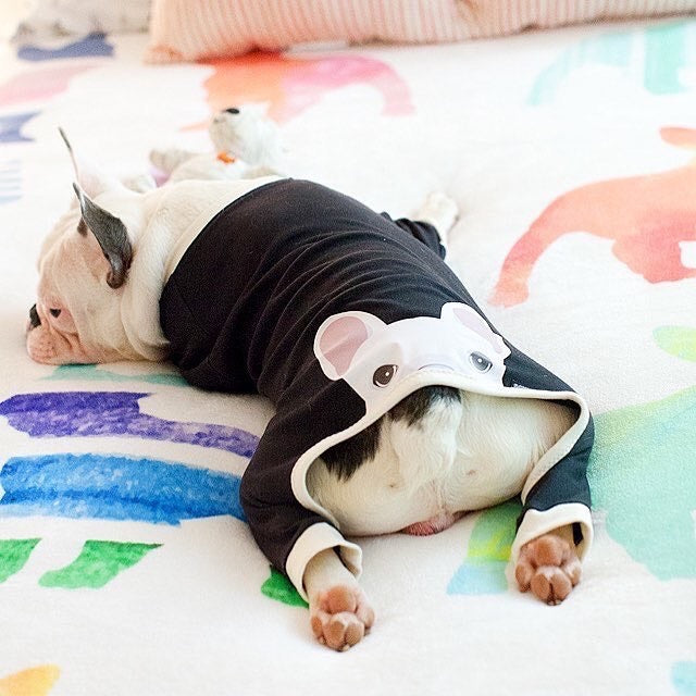 Frenchie Blanket | Frenchiestore | French Bulldogs in Watercolors, Frenchie Dog, French Bulldog pet products