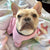 Frenchie Blanket | Frenchiestore | Французские бульдоги в акварели, Французская собака, Зоотовары для французского бульдога