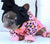 French Bulldog Pajamas | Frenchie Clothing | Wild One, Frenchie Dog, French Bulldog pet products