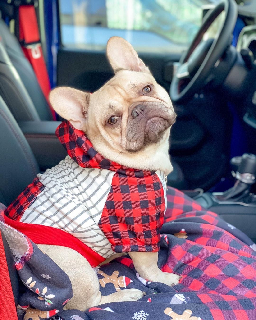 Frenchiestore Organic Dog hoodie Buffalo Plaid