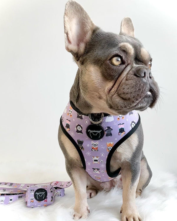 Frenchiestore Reversible Dog Health Harness Frenchie Attire