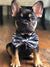 Frenchiestore Hund Bowtie | Blue Ultimate Camo, Frenchie Dog, Haustierprodukte der Französischen Bulldogge