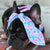Pañuelo para mascotas Frenchiestore | Productos para mascotas Mermazing, Frenchie Dog, French Bulldog