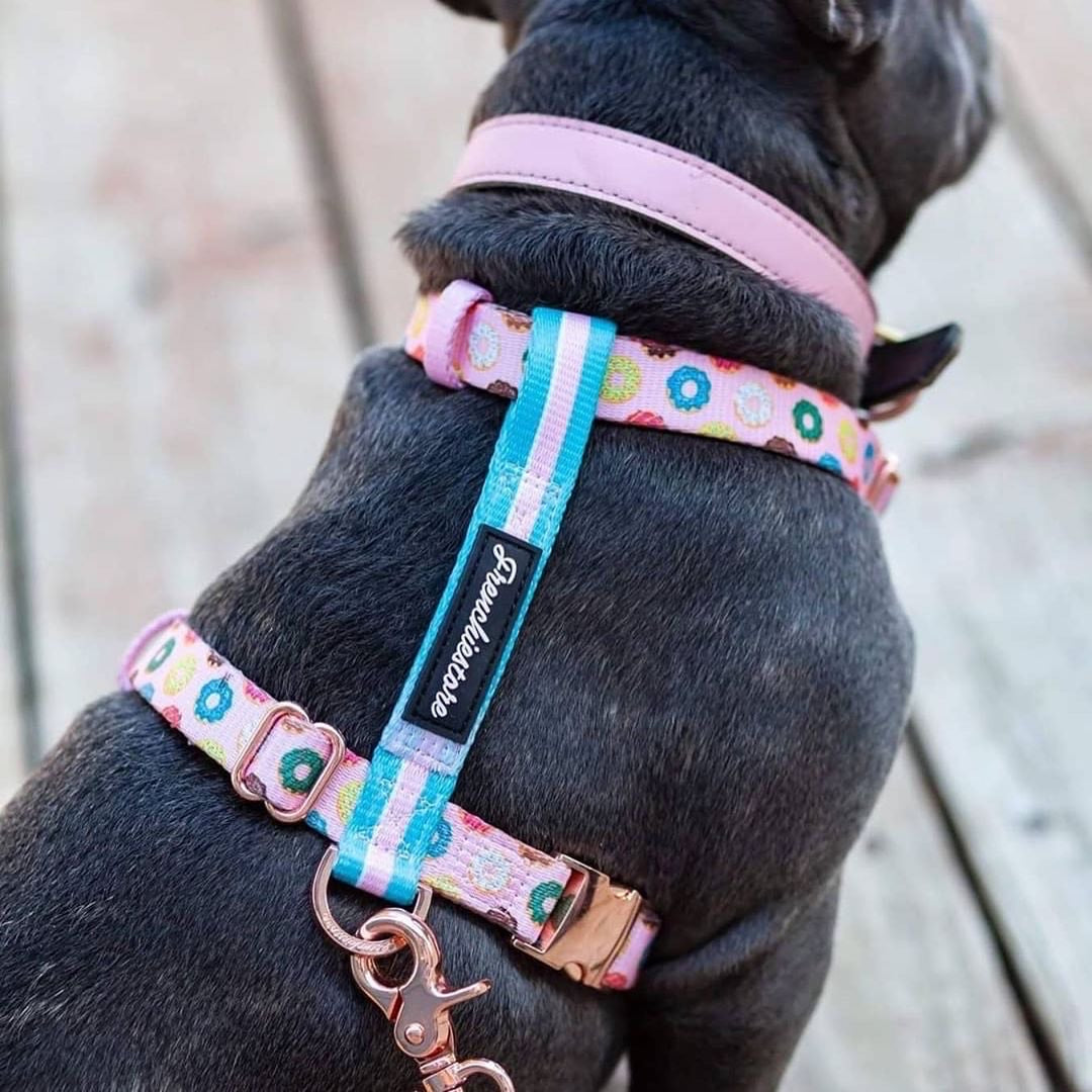 Luxury Leash | Pink StarPup, Frenchie Dog, French Bulldog pet products