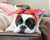 Pañuelo para mascotas Frenchiestore | Productos para mascotas California Dreamin ', Frenchie Dog, French Bulldog