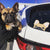 Французский стикер | Frenchiestore | Олень с маской Французский бульдог, автомобильная наклейка, французская собака, товары для домашних животных французского бульдога