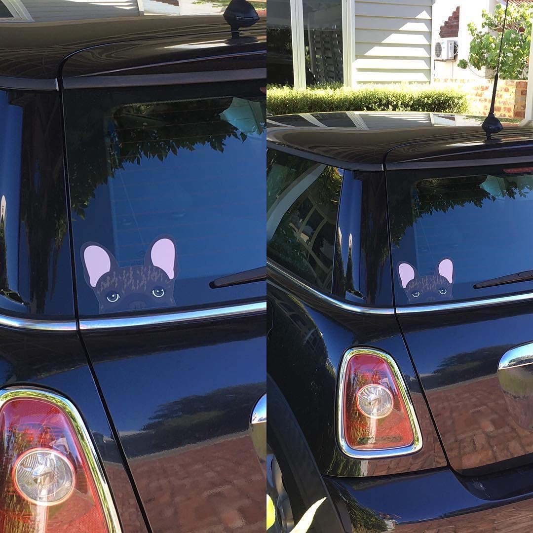Frenchie Sticker | Frenchiestore | Brown Brindle French Bulldog Car Decal, Frenchie Dog, French Bulldog pet products