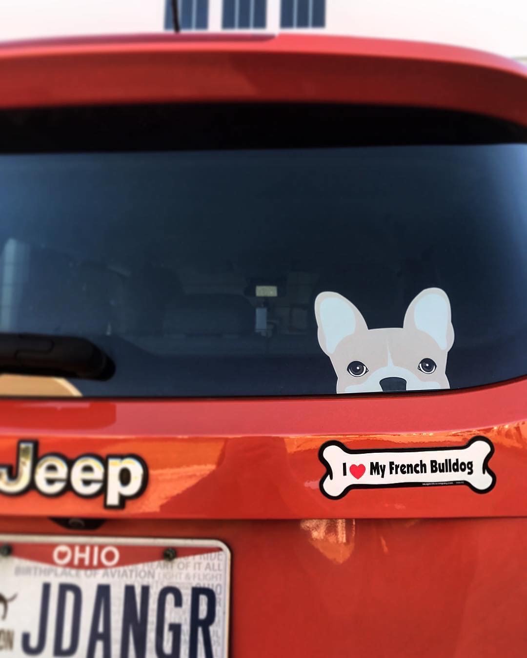 Frenchie Sticker | Frenchiestore | Cream W/ Line French Bulldog Car Decal, Frenchie Dog, French Bulldog pet products