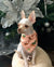 Frenchiestore Dog Cooling Bandana | Livin 'La Vida Frenchie, Frenchie Hund, French Bulldog Haustierprodukte
