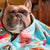 Frenchie Decke | Frenchiestore | Pumpkin Spice Pupcup, Frenchie Dog, French Bulldog Haustierprodukte