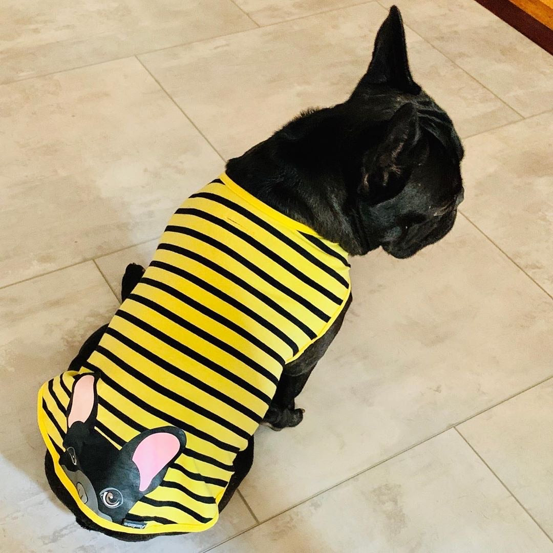 french bulldog dress shirt French Bulldog Logo Shirt Brand | Brand Name Dog Clothes