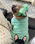 Французская рубашка | Frenchiestore | Черный французский бульдог в аквамарине, Frenchie Dog, зоотовары для французского бульдога