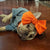 Frenchiestore Pet Head Bow | Orange, Frenchie Dog, French Bulldog Haustierprodukte