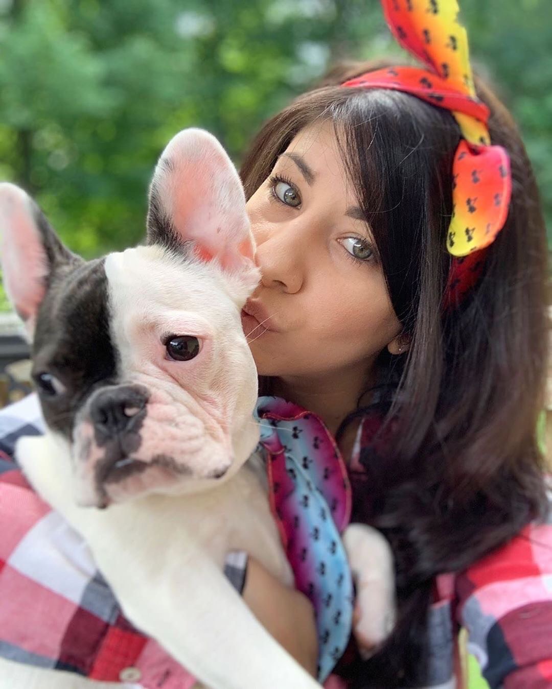 Frenchiestore Pet Scarf |  California Dreamin&#39;, Frenchie Dog, French Bulldog pet products