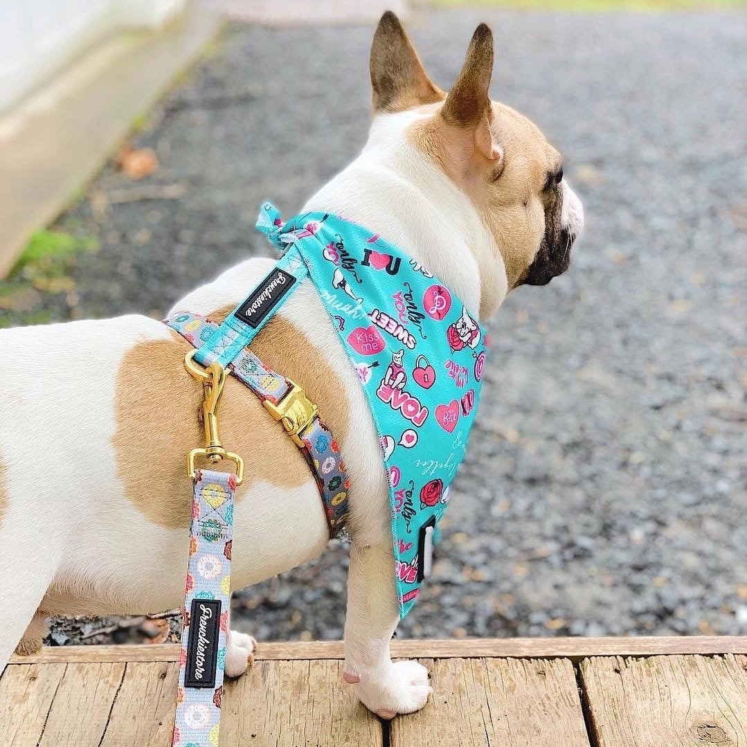 Frenchiestore Adjustable Pet Health Strap Harness | Mint StarPup, Frenchie Dog, French Bulldog pet products