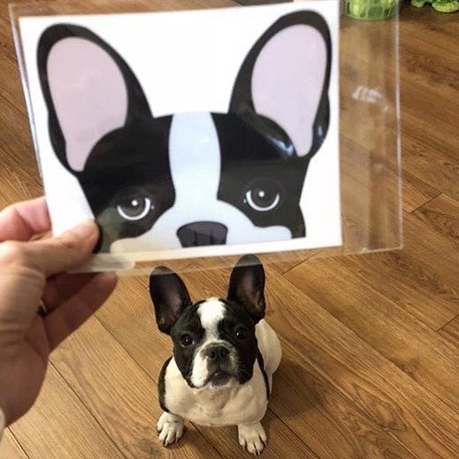Frenchie Sticker | Frenchiestore | Black Pied French Bulldog Car Decal, Frenchie Dog, French Bulldog pet products