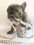 Dispenser di sacchetti per cacca Frenchiestore | Gelato, Frenchie Dog, prodotti per animali domestici Bulldog francese