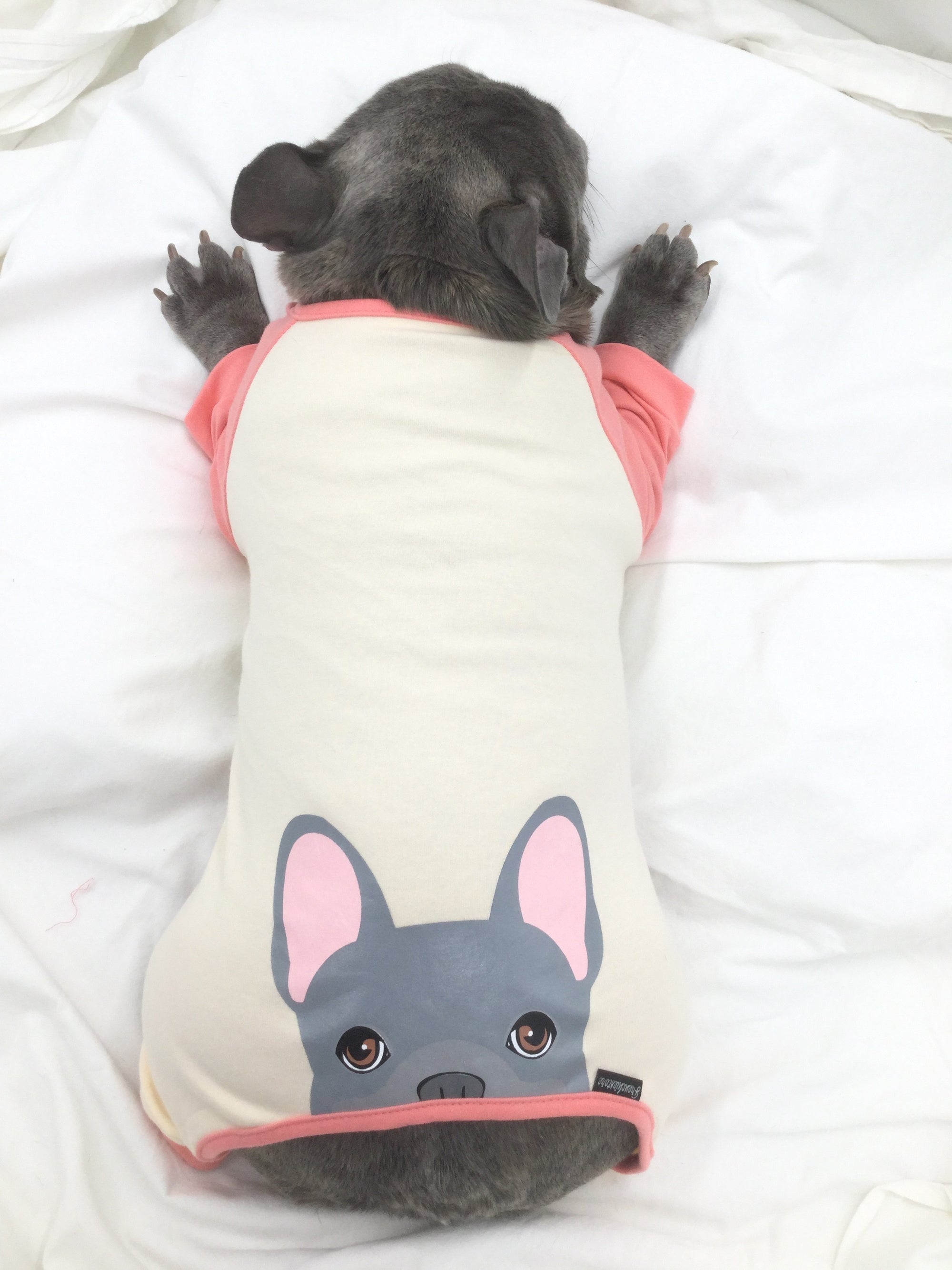 French Bulldog Pajamas in Coral | Frenchie Clothing | Blue Frenchie dog, Frenchie Dog, French Bulldog pet products