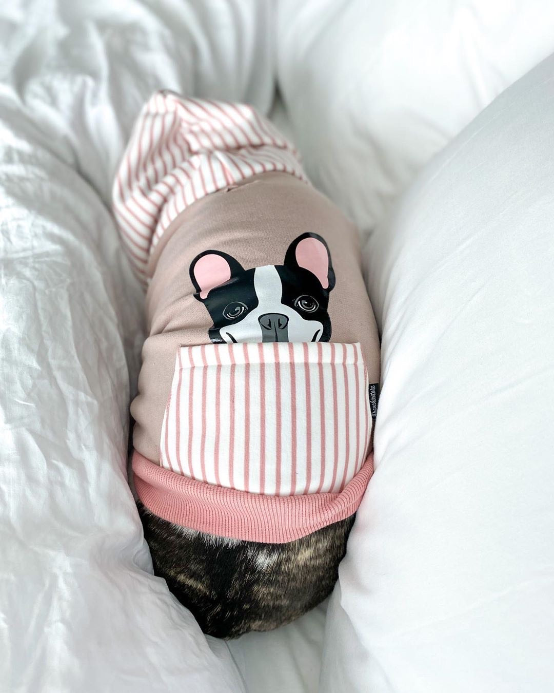 French Bulldog hoodie in pink | Frenchie Clothing | Black Pied Frenchie dog, Frenchie Dog, French Bulldog pet products