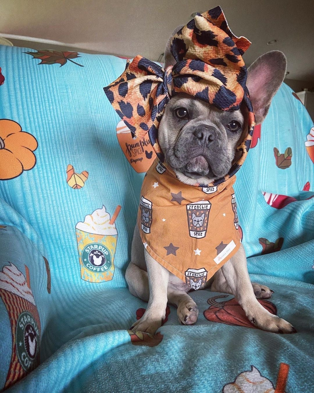 Frenchiestore Pet Head Bow | Wild Love, Frenchie Dog, French Bulldog pet products