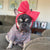 Frenchiestore Pet Head Bow | Hot Pink, Frenchie Dog, French Bulldog Haustierprodukte