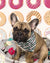 Frenchiestore الكلب تبريد باندانا | Frenchie Love in Teal ، Frenchie Dog ، منتجات الحيوانات الأليفة الفرنسية من بلدغ
