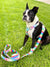 Arnés con correa ajustable para la salud de mascotas Frenchiestore | Productos para mascotas Pride, Frenchie Dog, French Bulldog