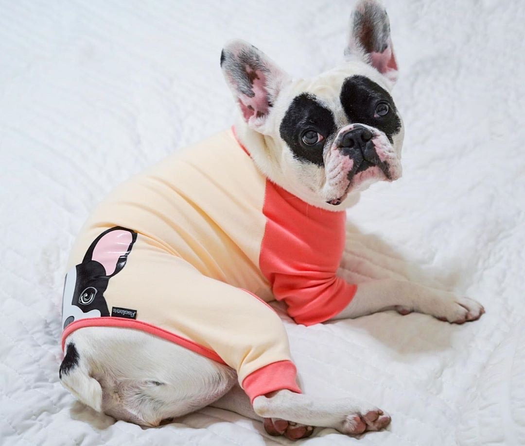 French Bulldog Pajamas in Coral | Frenchie Clothing | Black Pied Frenchie Dog, Frenchie Dog, French Bulldog pet products