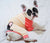 Французский бульдог в пижаме цвета коралловый | Французская одежда | Черный пестрый французский пес, Французский пес, зоотовары для французского бульдога