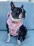 كلب Frenchiestore ربطة عنق | لعبة الجولف ، فرينشي دوج ، منتجات البلدغ الفرنسية للحيوانات الأليفة