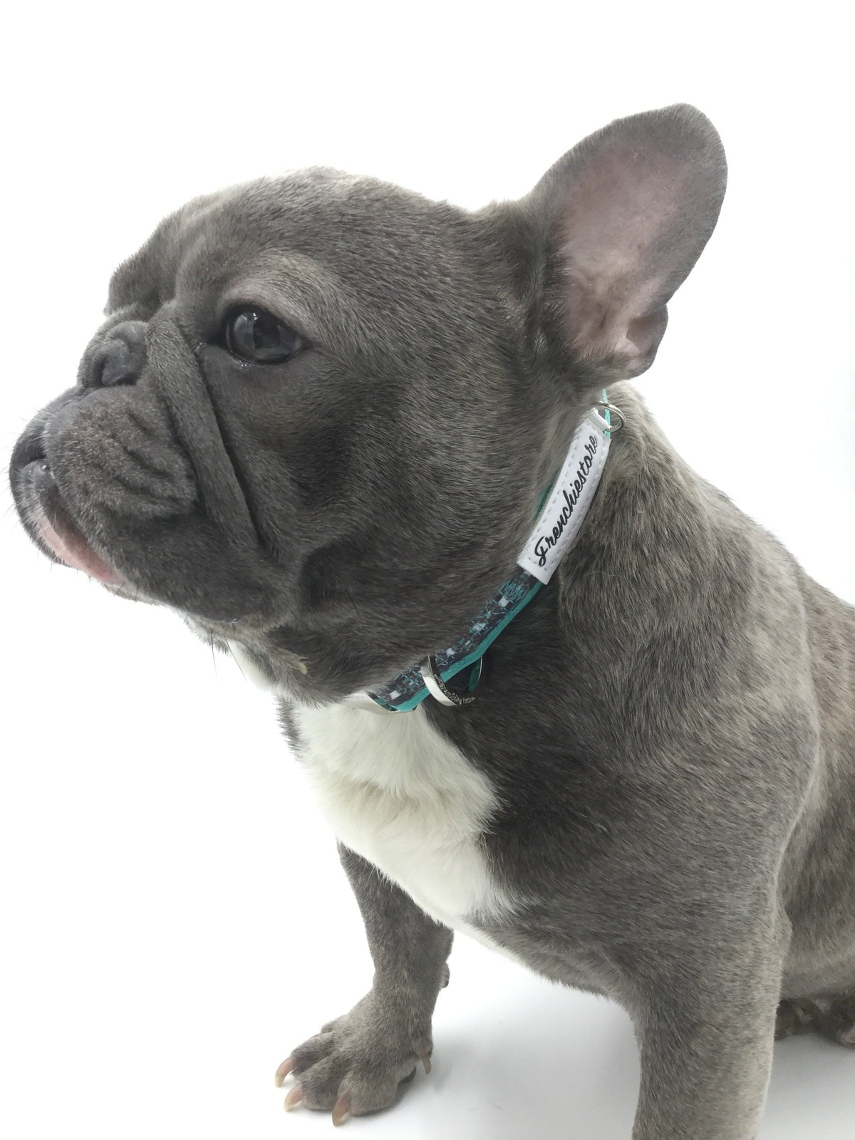Personalized Dog Collar Luxury Designer Dogs Accessories Pets Collar for  French Bulldog Pug Puppy Address Tags for Dogs Harness