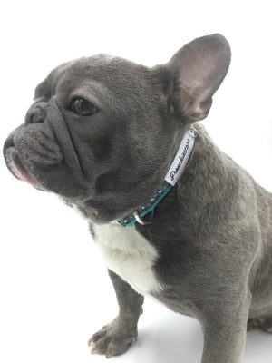 H Dog Collar - French Dog Collar, 6 Colors by CanineStyles est
