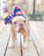 القوس رأس الحيوانات الأليفة Frenchiestore | زهور Houndstooth ، Frenchie Dog ، منتجات الحيوانات الأليفة الفرنسية البلدغ