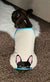 Французский бульдог в пижаме цвета морской волны | Французская одежда | Черная французская собака, Французская собака, зоотовары для французского бульдога