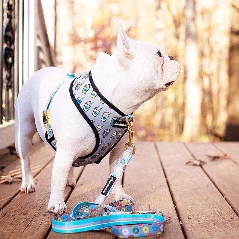 Frenchiestore Reversible Dog Health Harness | Mint StarPup, Frenchie Dog, French Bulldog pet products