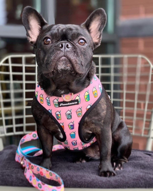 Frenchiestore Reversible Dog Health Harness Pink StarPup