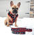 Guinzaglio di lusso Frenchiestore | Red Buffalo Plaid, Frenchie Dog, prodotti per animali domestici Bulldog francese