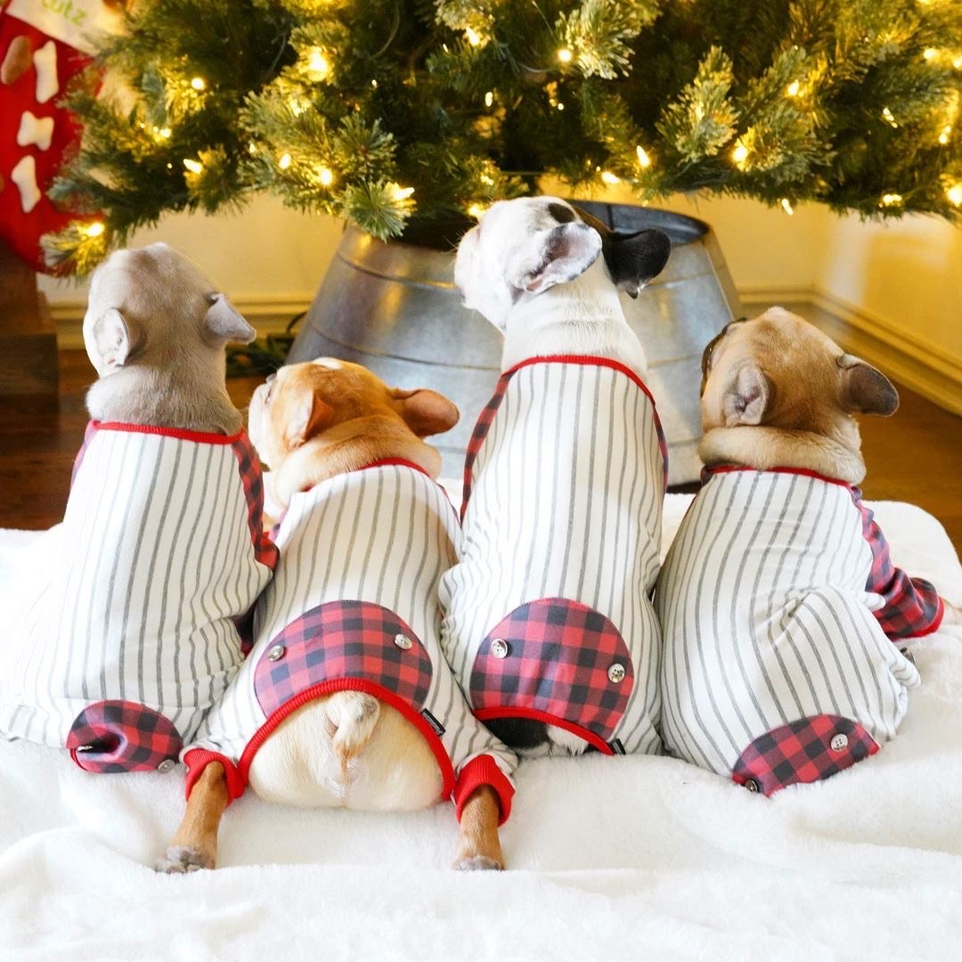 French Bulldog Pajamas | Frenchie Clothing | Buffalo Plaid, Frenchie Dog, French Bulldog pet products