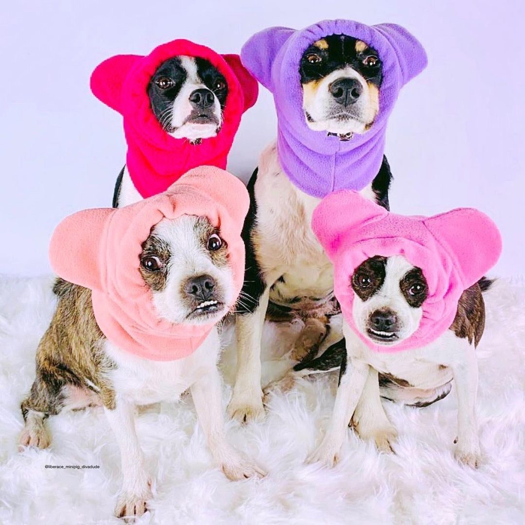 Ear Warmers Bundle Girls | Frenchiestore, Frenchie Dog, French Bulldog pet products