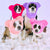 Paquete de calentadores de orejas para niñas | Frenchiestore, Frenchie Dog, productos para mascotas French Bulldog
