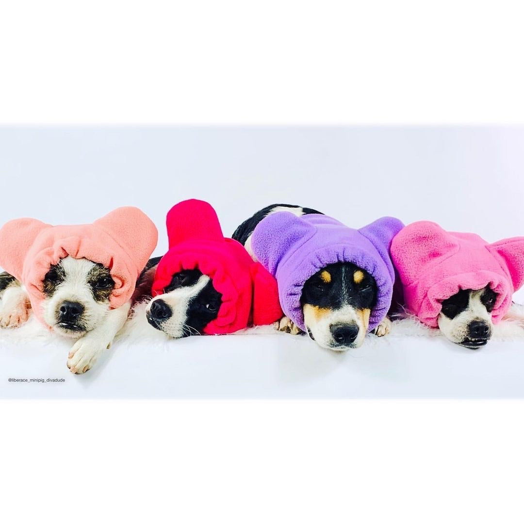 Ear Warmers Bundle Girls | Frenchiestore, Frenchie Dog, French Bulldog pet products