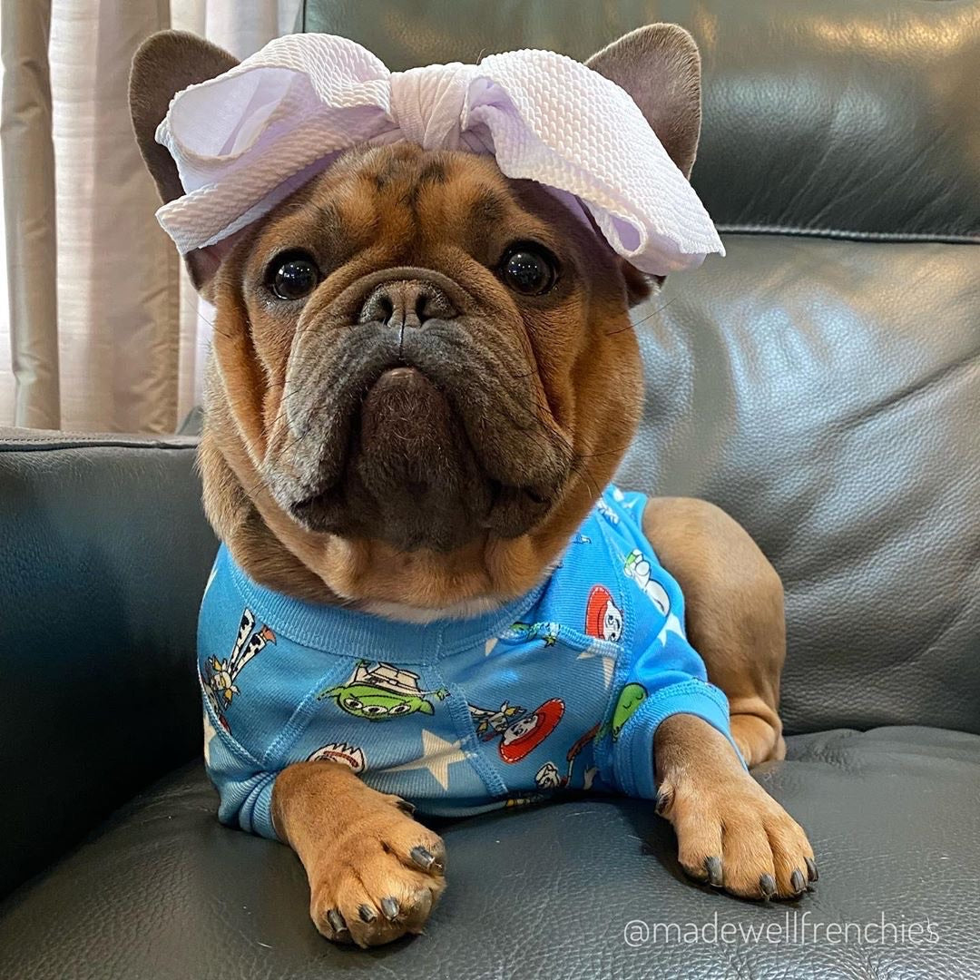 Frenchiestore Pet Head Bow | White, Frenchie Dog, French Bulldog pet products