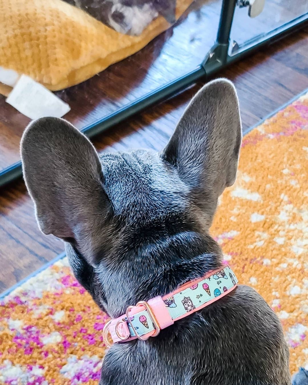 Frenchiestore Breakaway Dog Collar | UniPup, Frenchie Dog, French Bulldog pet products