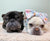 Lazo para la cabeza del animal doméstico Frenchiestore | Productos para mascotas Peachy Floral, Frenchie Dog, French Bulldog