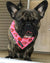 Bandana de enfriamiento para perros Frenchiestore | Labios, perro Frenchie, productos para mascotas Bulldog francés