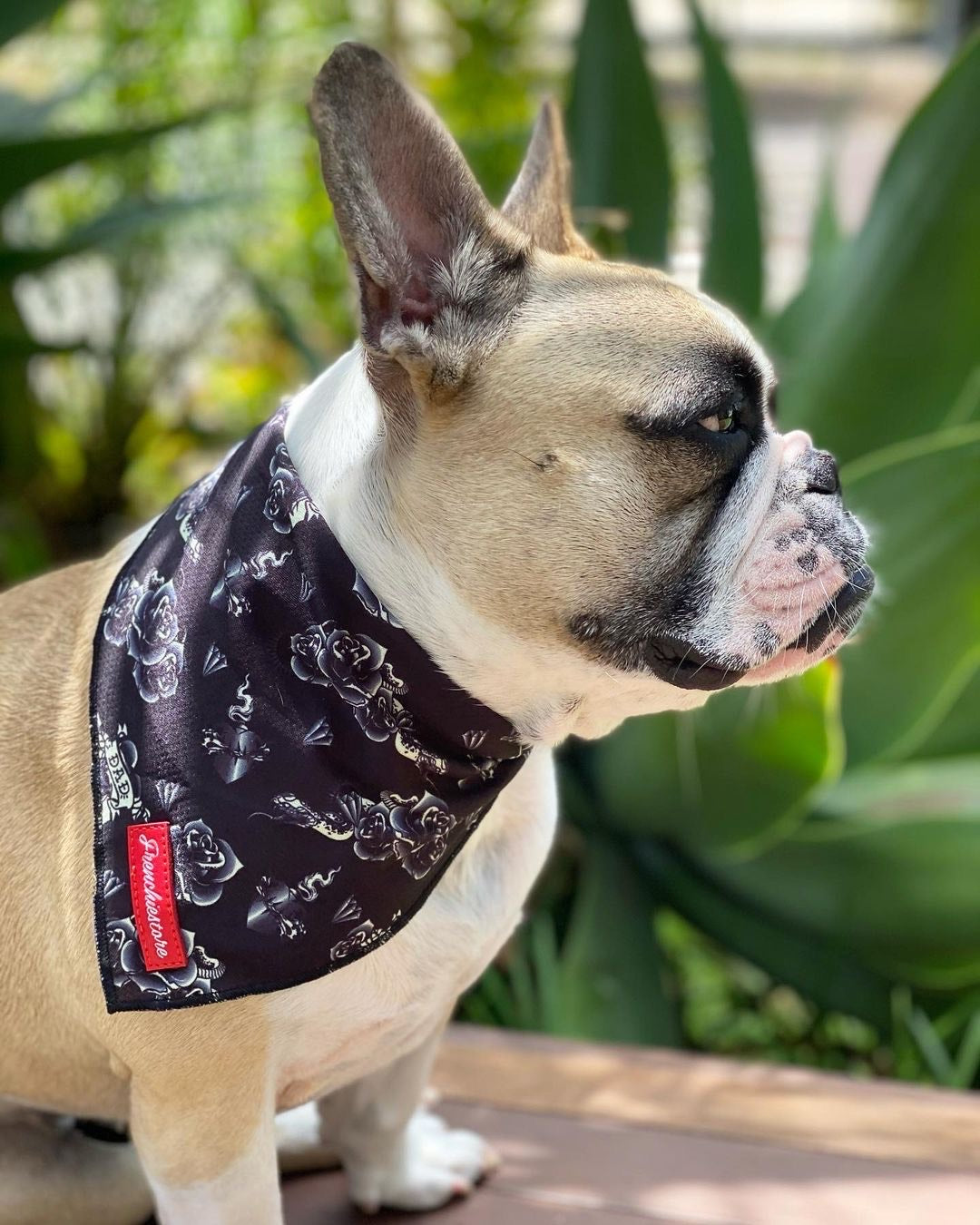 Frenchiestore Dog Cooling Bandana | Dad Tattoo, Frenchie Dog, French Bulldog pet products