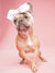 Frenchiestore Лук для головы домашних животных | Белые зоотовары, французская собака, французский бульдог