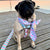 حزام حزام صحة الحيوانات الأليفة القابل للتعديل من Frenchiestore | UniPup ، Frenchie Dog ، منتجات الحيوانات الأليفة الفرنسية من بلدغ