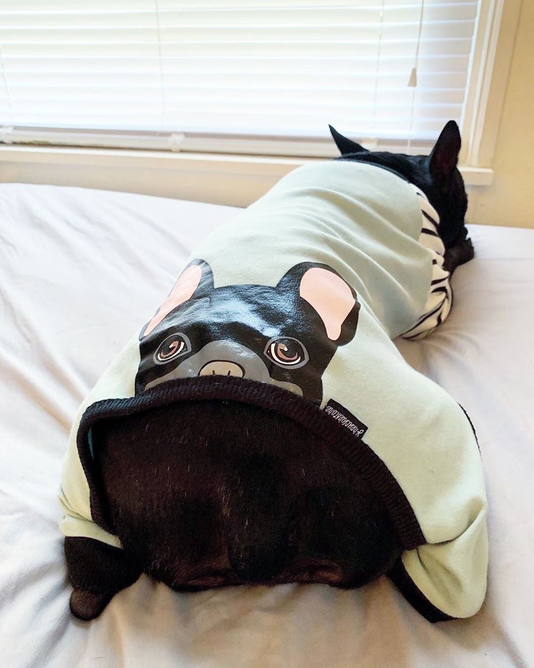 french bulldog pajamas forever 21